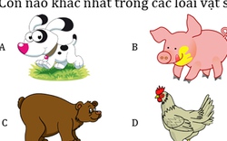 6 bài test khiến người xuất sắc nhất cũng phải lắc đầu