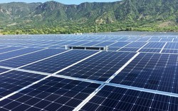 Dự án điện mặt trời đưa vào vận hành đầu tiên ở Khánh Hòa