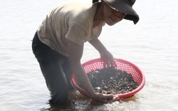 Dân cả vùng đổ về hồ Ea Kao bắt con nấu ra nước ngọt lừ