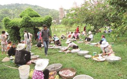 Vùng Bảy Núi ở An Giang có chợ bán toàn mối chúa, nhện, bọ rầy