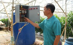 Người trồng hoa Lâm Đồng "hoa mắt" nhìn giá điện tăng phi mã