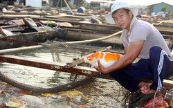 "Ngư phủ" bảnh trai nuôi hàng tấn cá "quý tộc" ở sông Đồng Nai