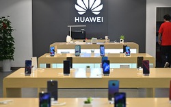 Hãng vận tải Mỹ chuyển tài liệu thương mại của Huawei từ Việt Nam về Mỹ