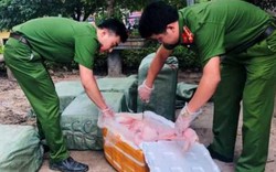 Lạng Sơn: Gặp công an bèn vứt lại 400kg nầm lợn hôi thối