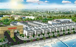 Bình Thuận yêu cầu dừng rao bán, chuyển nhượng nhiều dự án BĐS