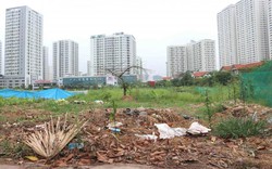Ảnh: Những dự án bị bỏ hoang nhếch nhác, lãng phí ở quận Hoàng Mai