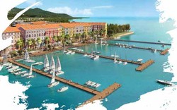 Những mảnh ghép mới tạo nên bức tranh tổng hòa Halong Marina