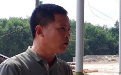 Quảng Trị: Sẽ xử lý nghiêm nhà máy gỗ hoạt động không phép