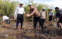 Bạc Liêu: Cả trăm người lội sình trồng cây mắm ở phường ven biển