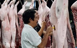 Trữ đông thịt lợn: Không làm nhanh sẽ chẳng còn thịt lợn để bán