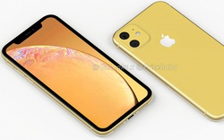 iPhone XR 2019 sẽ có các màu siêu "hot" này