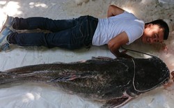 Cá "khủng” to ngang người lớn dính câu cần thủ ở Đắk Lắk