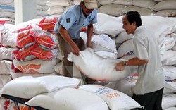 Gạo Việt “kẹt đường” vào Trung Quốc