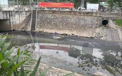 Chi cục Bảo vệ môi trường Hà Nội thông tin hiệu quả của "bảo bối" xử lý nước sông Tô Lịch