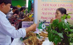 Quảng Nam: Mang 60kg sâm Ngọc Linh ra chợ bán, thu ngay 4 tỷ đồng