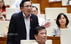 ĐB Lưu Bình Nhưỡng tranh luận với Bộ trưởng Công an vụ tố xâm hại tình dục