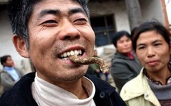 Những món đáng sợ mà người Trung Quốc "ăn tươi nuốt sống"