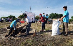 Đà Nẵng: Hơn 200 cán bộ, nông dân dọn rác bờ biển
