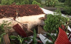 Phú Thọ: Kinh khủng dông lốc làm bay mái tôn, ngói rơi vỡ la liệt