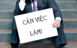 Công việc vị trí cao