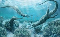 Quái vật biển giống cá sấu sống cách đây 210 triệu năm