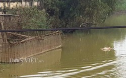 Công ty nước Nghệ An lén lút hút nước từ sông Đào ô nhiễm?