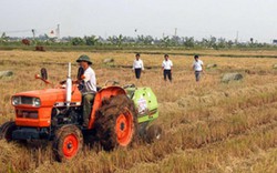 Chuyện lạ Ninh Bình: Rơm rạ bỗng quý như... vàng!