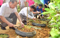 Thừa Thiên - Huế: Lan tỏa phong trào “Ngày Chủ nhật xanh”