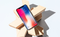 Từ dẫn đầu xu hướng, "tai thỏ" trên iPhone X đã khiến người dùng chán ngấy