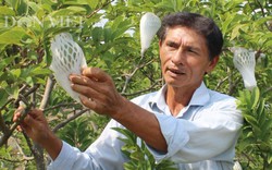 Tây Ninh muốn vay ADB gần 1.400 tỷ đồng phát triển chuỗi rau quả