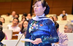 ĐB Quyết Tâm: "Nói giảm bao nhiêu tiền một đại biểu rất thiển cận"