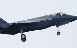 Hé lộ nguyên nhân phi công Nhật lái tiêm kích F-35 đâm xuống biển