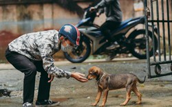 Khôn như trộm chó