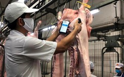 Nhập khẩu thịt tăng 6,7 lần: Không quản, Việt Nam thành bãi rác thịt nhập