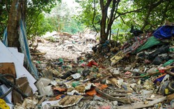 Hà Nội: Người dân hơn chục năm sống chung với hồ rác ô nhiễm