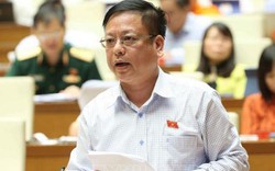 Phó Chủ nhiệm UBPL Quốc hội: "Sẽ giám sát vụ xử ly hôn Trung Nguyên"
