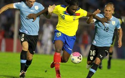 Soi kèo, tỷ lệ cược Uruguay vs Ecuador: Cửa trên sẽ thắng