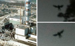 Quái vật huyền thoại xuất hiện ngay trước thảm kịch hạt nhân Chernobyl?