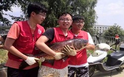 Trường nhà người ta, đánh 750kg cá trong hồ làm tiệc mừng sinh viên tốt nghiệp