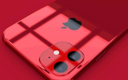 iPhone 11 và Pixel 4 sẽ không có camera sau vuông như lời đồn