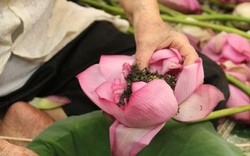 Thiên cổ đệ nhất trà sen của cụ bà U100 Hà Nội, giá 7 triệu đồng/kg