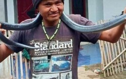 Indonesia: Tắm cho trăn cưng, chủ bất ngờ bị siết đến chết