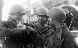 "Sư đoàn" đặc biệt trong trận giải vây Leningrad, đẩy lui phát xít Đức
