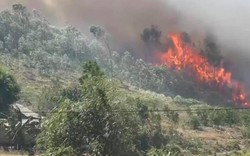Tham gia dập lửa cứu rừng, người phụ nữ bị thiêu cháy