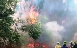 Một phụ nữ tử vong khi chữa cháy rừng ở Nghệ An