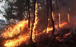 Nóng trong tuần: Chưa thể dập tắt vụ cháy rừng khủng khiếp đã 3 ngày ở Hà Tĩnh