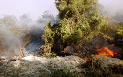 Lại cháy rừng ở Quảng Bình, 500 người nỗ lực dập lửa