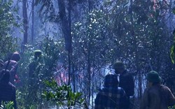 Thương tâm hai nông dân Nghệ An chết vì cứu rừng, cứu chè