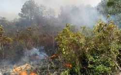 Rừng Quảng Bình vẫn đang cháy, lan rộng