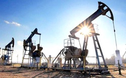 Cuộc họp của OPEC bị hoãn, giá xăng dầu tiếp tục “nhảy múa”